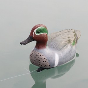 Simulazione di caccia allanostra guarnizione 12.5