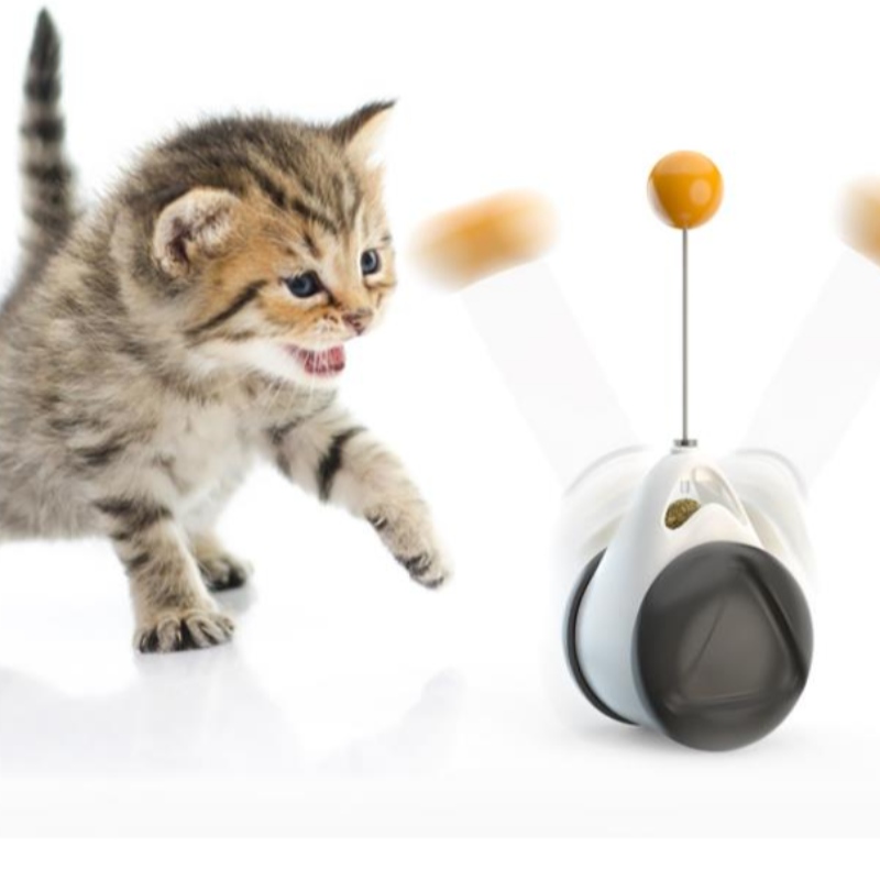 2021 New Cat Toy Chaser Bilanciata Gatto Bilanciata Giocattolo Interactive Kitten Swing Toy