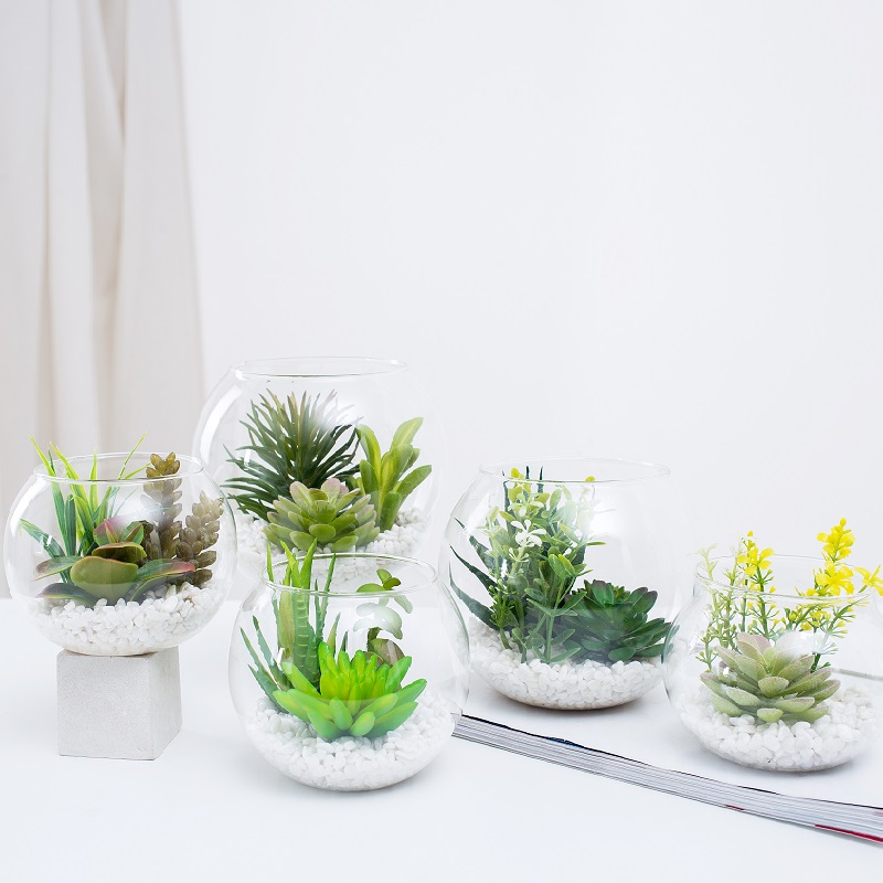 Succulente artificiale in vaso in articoli di vetro