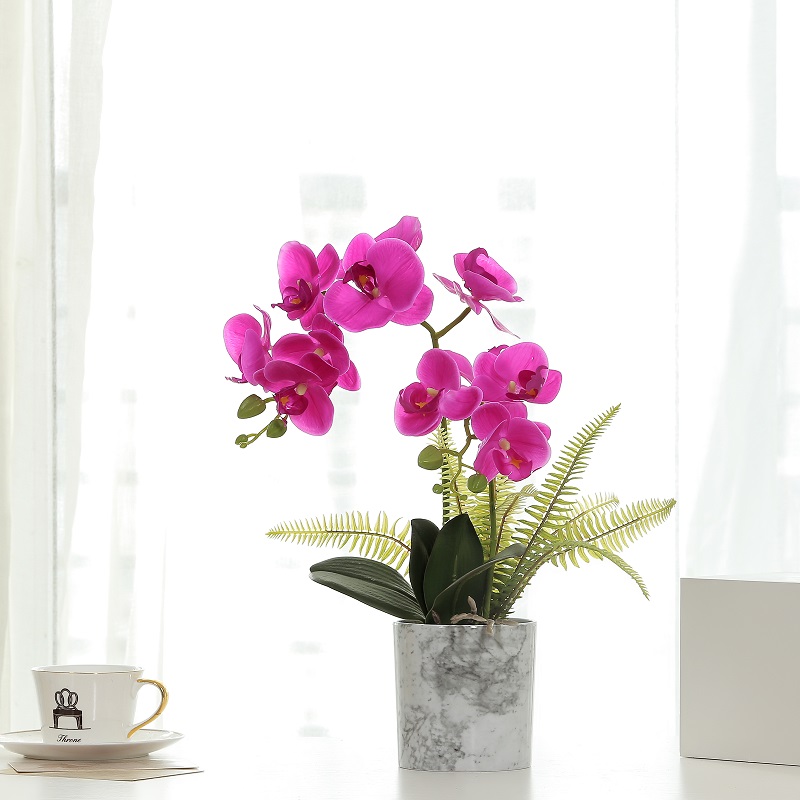 Orchidea artificiale in vaso rosso di vendita caldo con alta qualità