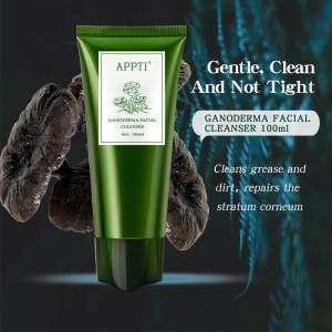 Etichetta privata Anti ACNE Aloe Vera Lavaggio viso Detergente per il viso Ganoderma Essence Fash Wash