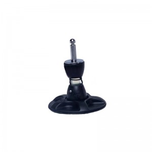 Joint Tendon Bianche