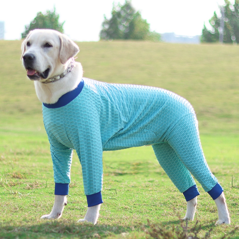 Nuovo design personalizzato inverno pet dog vestitinuovi vestiti per animali domestici maglione elastico maglione calda maglione per animali domestici