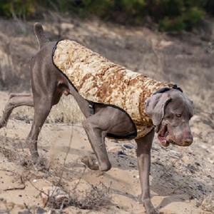 Amazon Vendita calda Nuovo PET Vestiti per cani Abbigliamento per cani Autunno e inverno Maglione elastico addensato Maglione per animali domestici