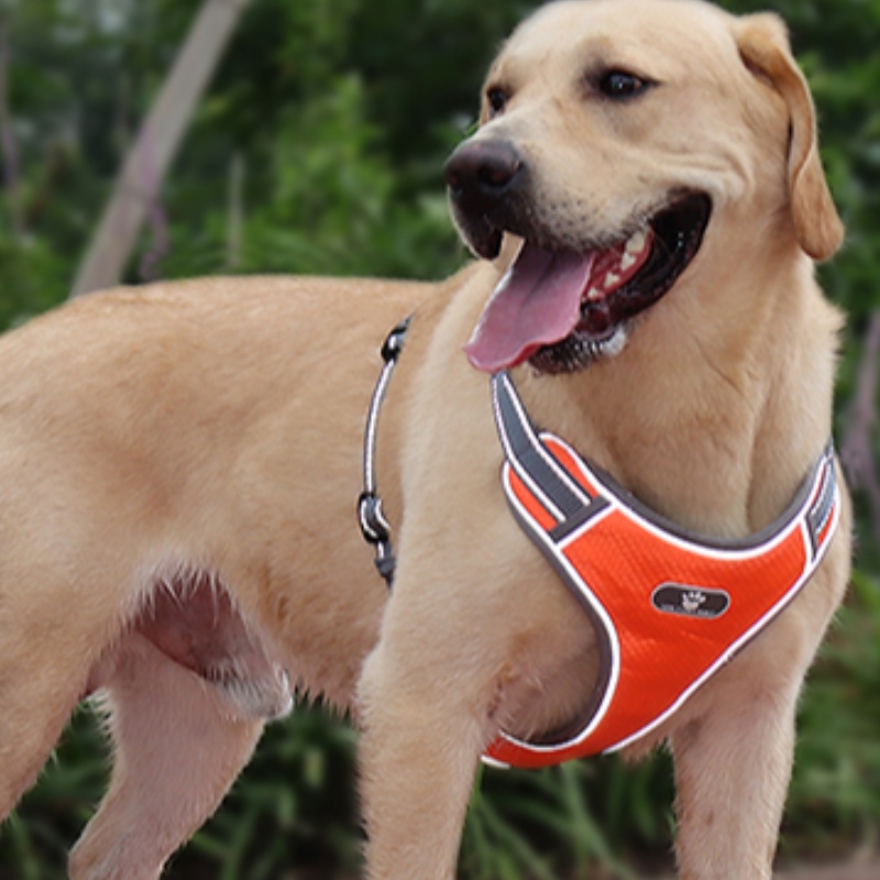 Produzione OEM all'ingrosso Harness Personalizzato High End Harness Cablaggio di lusso Pet Dog Reversibile Cablaggio Riflettente Dog Brabura