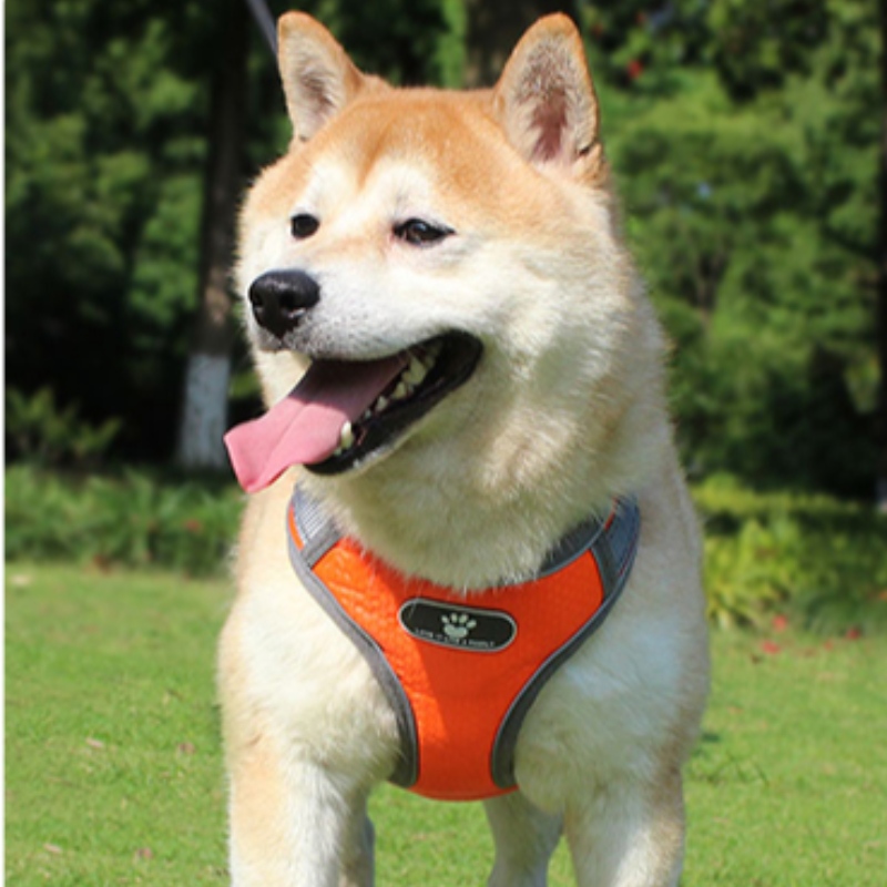 Produzione OEM all'ingrosso Harness Personalizzato High End Harness Cablaggio di lusso Pet Dog Reversibile Cablaggio Riflettente Dog Brabura