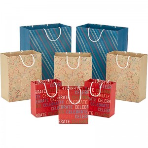 Hallmark Riciclabile Borse regalo Assortimento (8 sacchi: 3 piccoli 6 \\\\ \\\