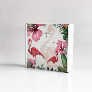 Spot Color Aircraft Box a camicia per camicia per camicia da cartone abiti da imballaggio per imballaggio ondulato Stampa di colore in scatola