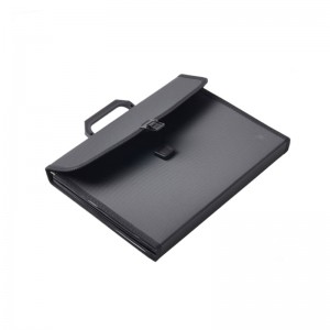 Cartella in espansione A4 Dimensione lettera PP Plastica 13 tasche Multi Pocket Organizer File espandibile