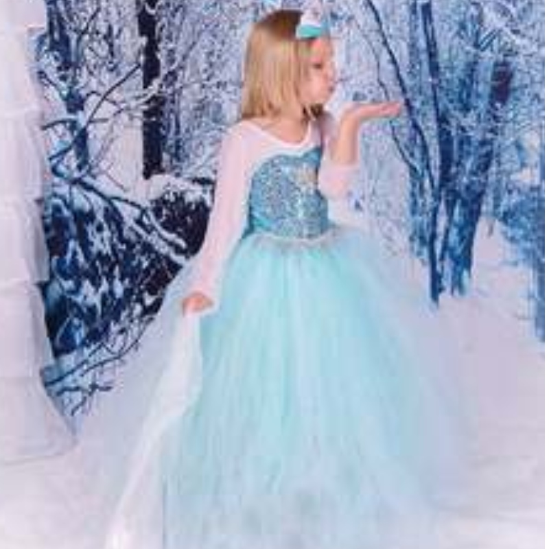 Baige TV&movie Elsa Anna Girl Party Performance Dresses Halloween COSPLAY Abiti Costumi