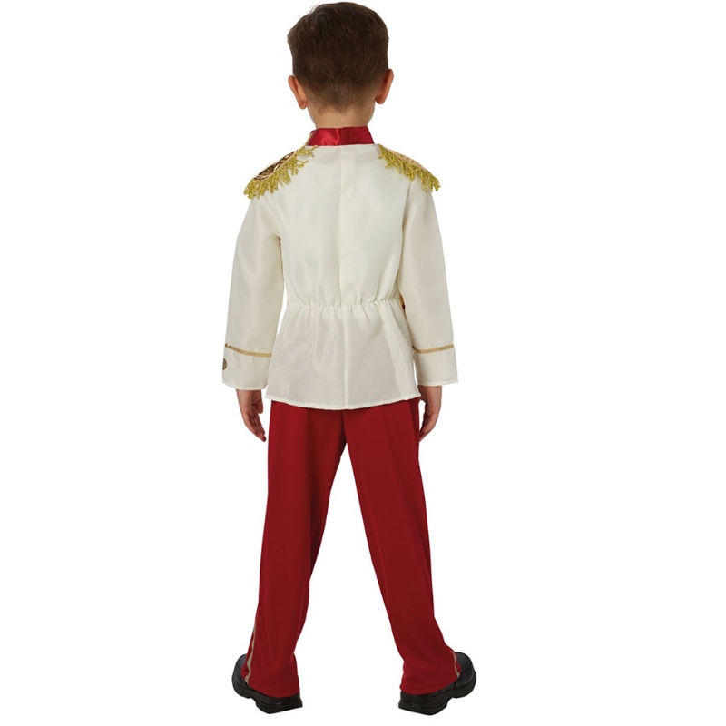 Costume affascinante del principe Prince vestire il costume da outfit del principe reale medievale per ragazzi per bambini di età compresa tra 3 e 14 anni