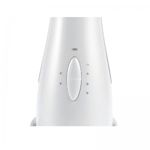 MASSAGGIO FACCIO ELETTRICO DI BASE