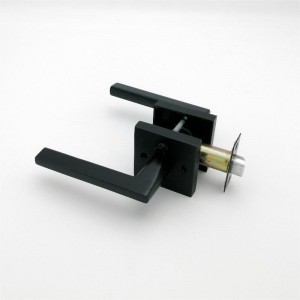 S7503 Leva della porta privacy per camera da letto e porte da bagno opachenere