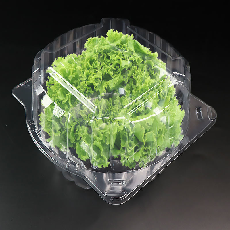 Contenitore blister trasparente RPET o PET a conchiglia per 1 libbra insalata di lattuga di imballaggio a foglia verde
