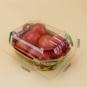 Scatole di cartone in plastica personalizzate per contenitore di imballaggio a punta di frutta con coperchio