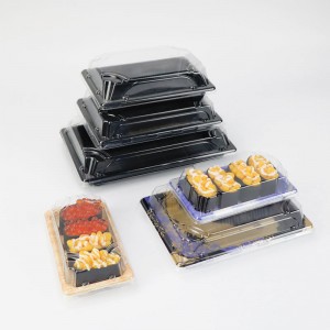 Wholesale Takeway Eco Friendly usa ecologico in plastica di plastica giapponese Sushi Box