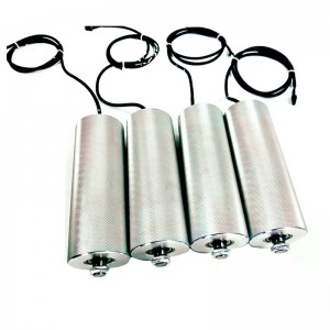 Rullo elettrico Motore incorporato AC 220V 380 V CC 24V 48V Rolco