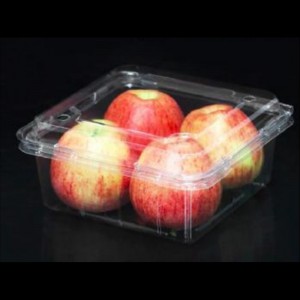 Fruit Box con coperchio 180*175*85 mm HJ-850C
