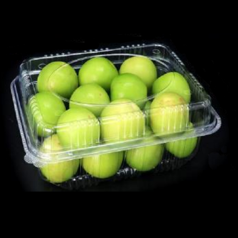 Fruit Box con coperchio 230*175*90 mm HGF-1000A