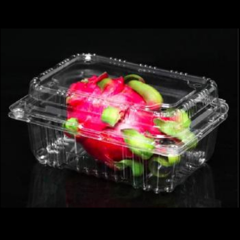 Fruit Box con coperchio 213*153*95 mm HGF-750C
