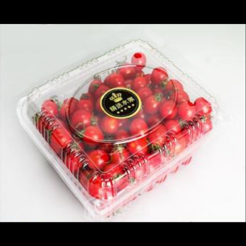 Fruit Box con coperchio 200*170*95 mm HGF-750H
