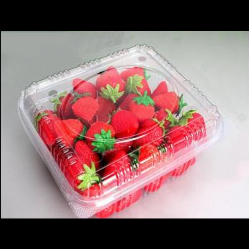 Fruit Box con coperchio 195*170*90 mm HGF-750B