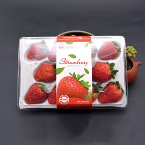 Strawberry Box (11 fragole) 225*120*40 mm cm-11
