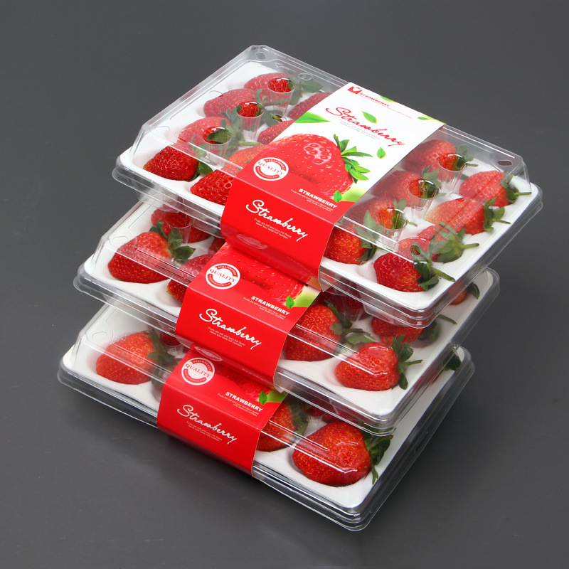 Strawberry Box (20 fragole) 225*120*40 mm cm-20