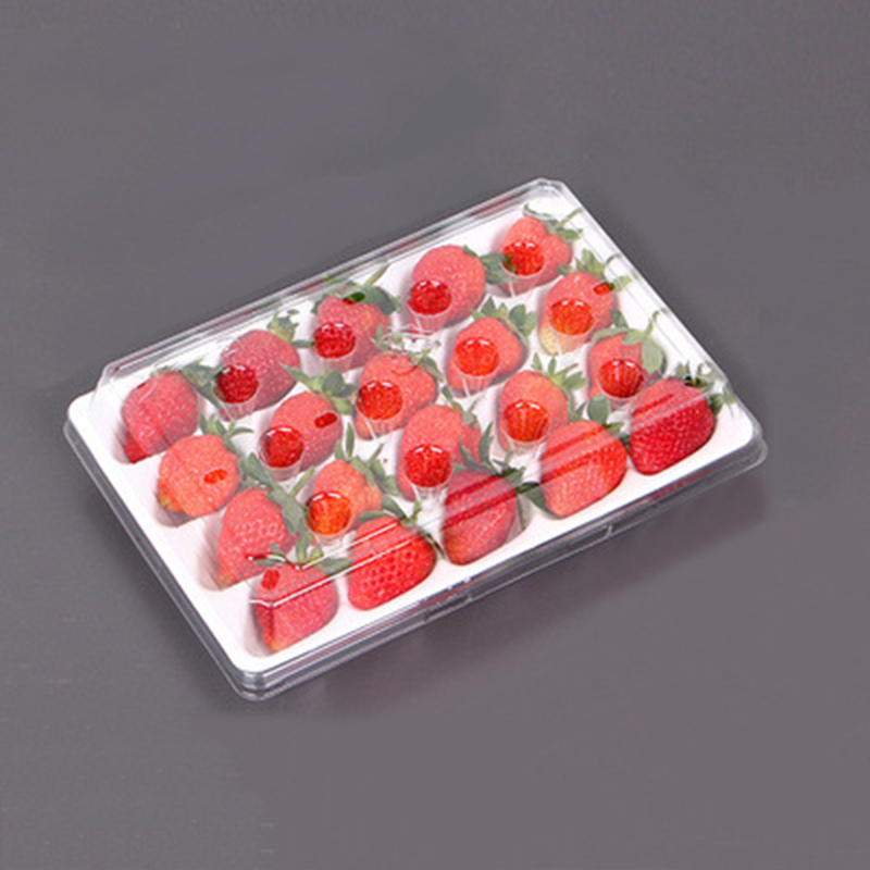 Strawberry Box (20 fragole) 225*120*40 mm cm-20