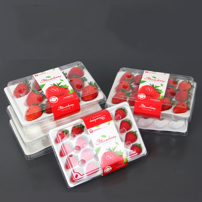 Strawberry Box (20 fragole) 225*120*40 mm cm-20