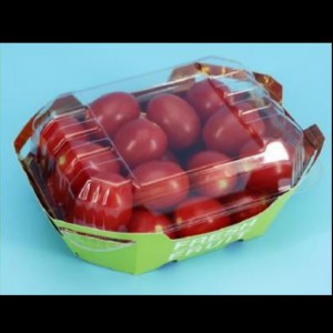 Fruit Box HGF-T500 500 G