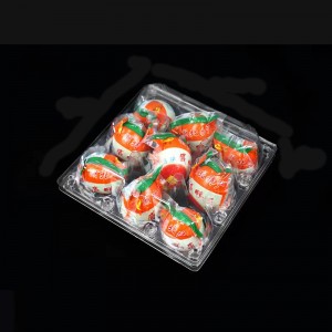 Vassoio di uova di anatra 185*180*75 mm 9 scanalature