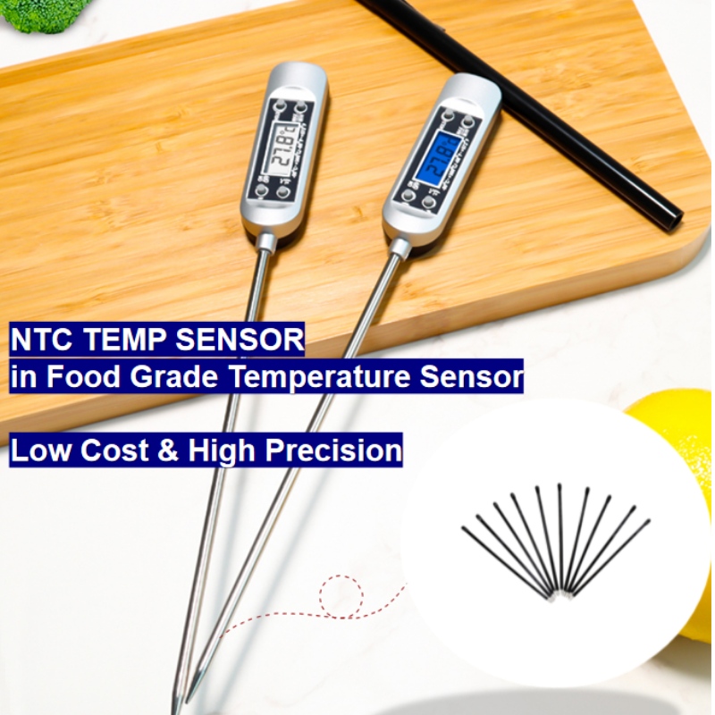 Sensore della temperatura NTCnel sensore di livello alimentare