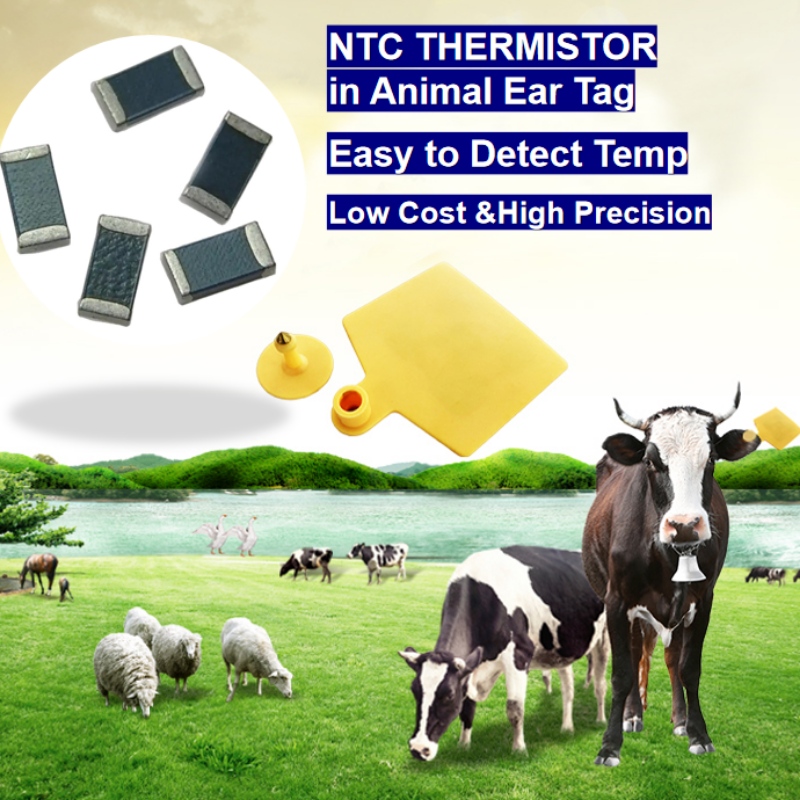 Sensore di temperatura del termistore NTCnell'allevamento intelligente di etichette per le orecchie animali