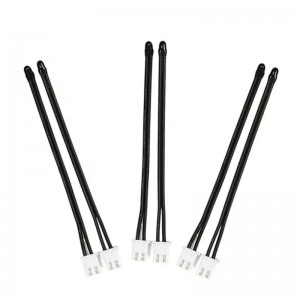 NTC Termistornel sistema di gestione della batteria BMS