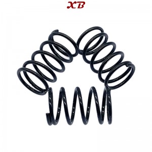 Pump a pressione automatica Spring