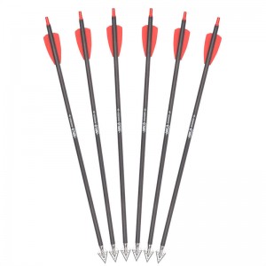 Bulloni di balestra Rx da 15 pollici con larghezza in acciaio inossidabile