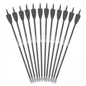 15 pollici Id6,2 mm bulloni di freccia in carbonio con 2 pollici di bulloni per la balestra Rx