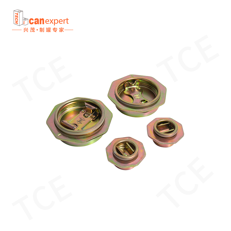 TCE- Prezzo di fabbrica Il metallo può diametro 32 mm Copertina flangia cieca in stasa