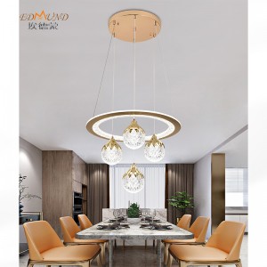 L8022 PEDANT LED LIGHT-3 Colori