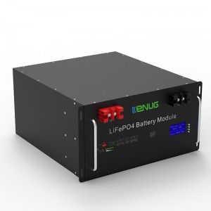 Rack montato 48v 100/150 200ah lifepo4 elettrodomestici