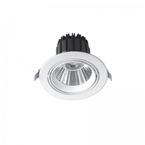 LED-DWL-CoB-B