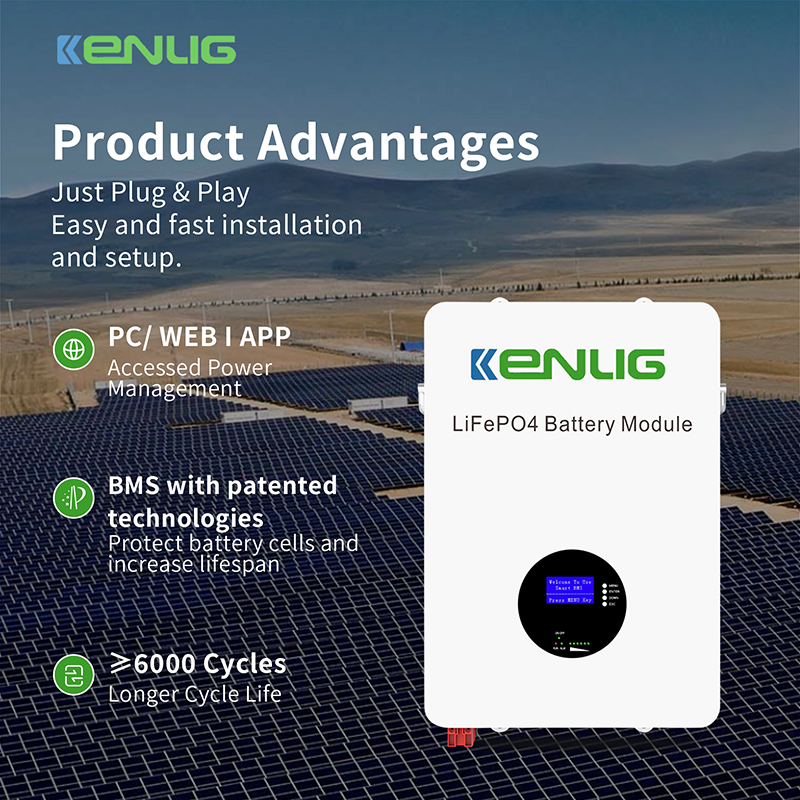 Perché scegliere batterie al fosfato di ferro al litio?