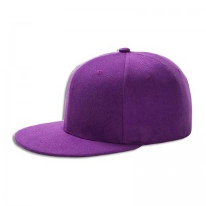 Design super cool vintage di alta qualità all\'ingrosso alloggiato con cappello a snapback riciclato a morbido semplice con logo da ricamo da stampa