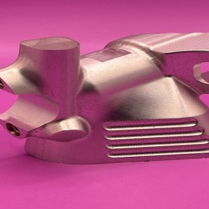 Alloggiamento della fotocamera