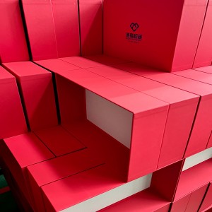 Macchina da forma di formatura service DG-500A