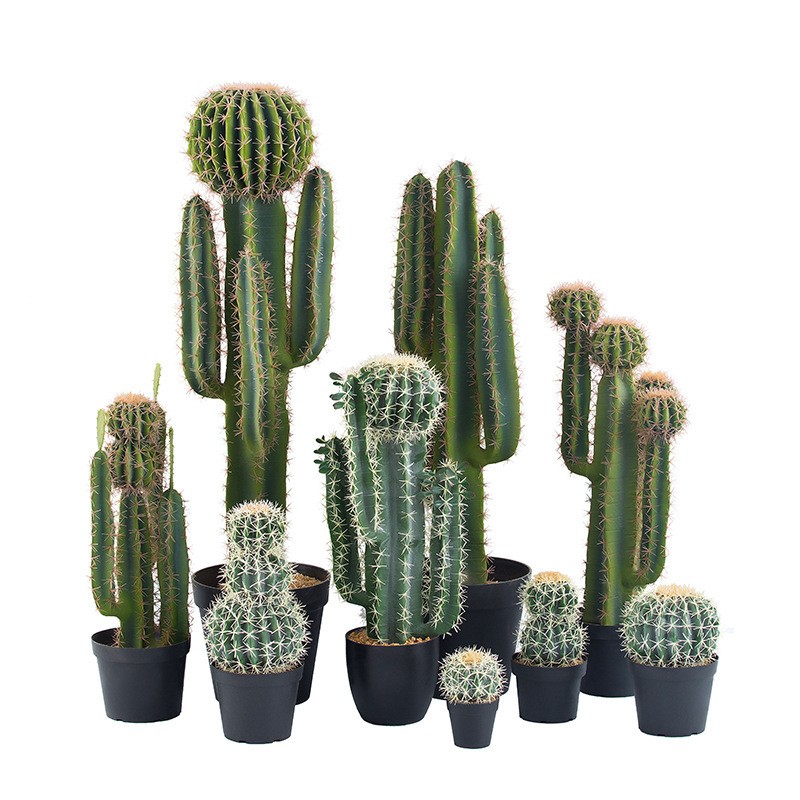 Piante di cactus artificiali di cactus in finto cactus decorativo personalizzato di alta qualità di alta qualità