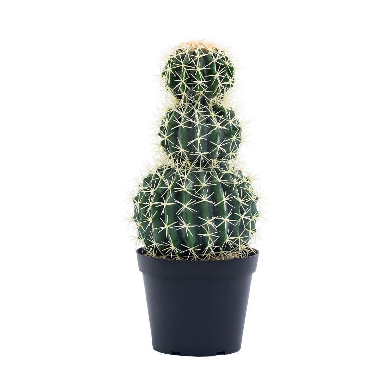 Piante di cactus artificiali di cactus in finto cactus decorativo personalizzato di alta qualità di alta qualità