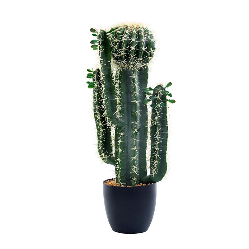 Piante di cactus artificiali di cactus in finto cactus decorativo personalizzato di alta qualità di alta qualità
