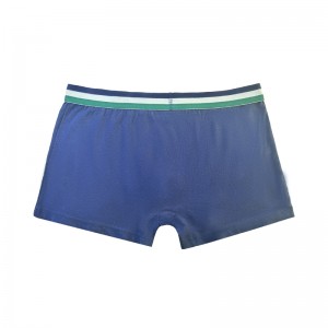 Personalizza la biancheria intima di biancheria intima da pugilenatalizie